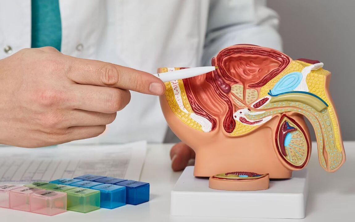 Location of the prostate